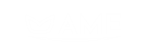 logo correta da ame