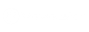 velvet skin logo correta